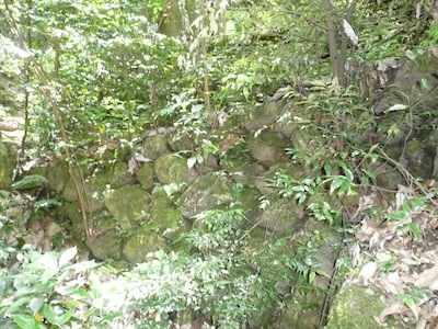 �ґz�̏��a�R