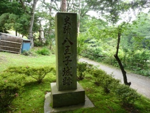 �����q�隬��