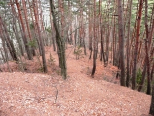 �y�����G�x