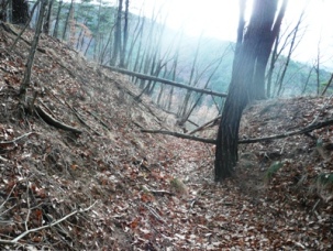 �x�؁��G�x