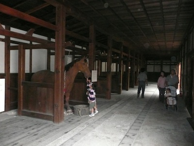 �n������