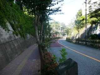 �_�Ђ킫�̓��H