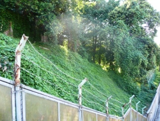 �w����݂����ˏ隬