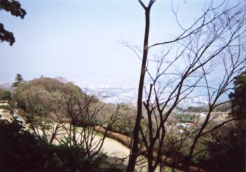 �{�ۂ��猩�����c����