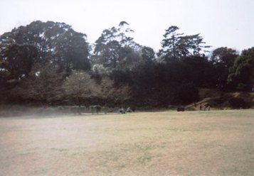 ��̊ۂ��猩���{��