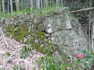 ������t��