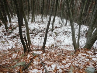 ��s�ցF�ȗ�