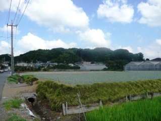 �����鉓�i