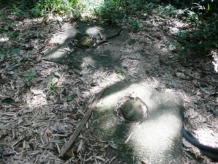 ��O�Ղ̑b��