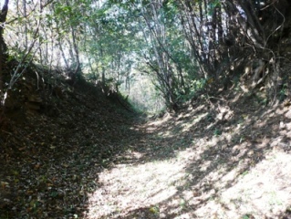 ��s�t�߂̋�x