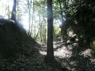 ��s�쑤�̌@��