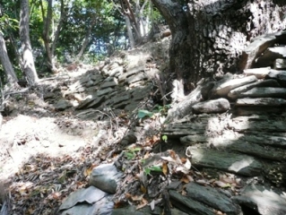 ���q��̐ΐς݈�\