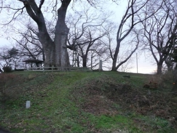 �_�w��{�ې�