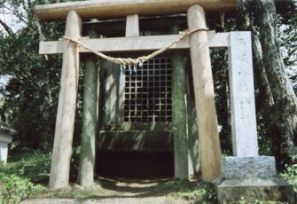 ���јE�Ɠ쑖����