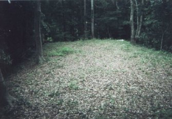 �v�����ȗ�