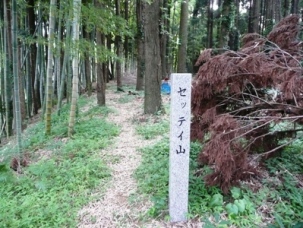 �Z�b�^�C�i�Z�b�e�C�j�R�F�{���q��h��̊j