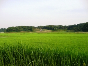 �{���q��S�i