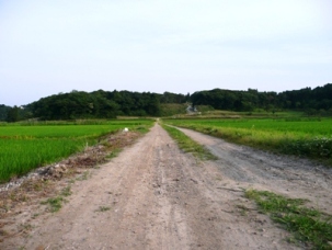 �{���q��S�i