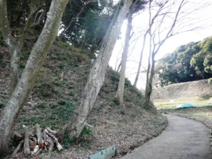 ���̔n��t��