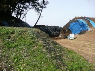 ���̔n��t��