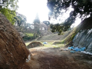 ���̔n��Ռ�