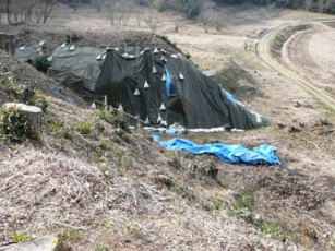 ���̔n��Ռ�