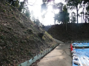 ���̔n��`�q��