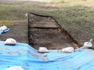 ���̔n��`�q��