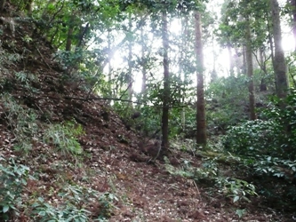 �����ÒJ��̋�x