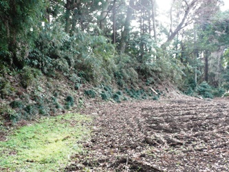 ��x�̎��͂ɓy�ۂ�����܂���