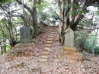 �k�����̌�������