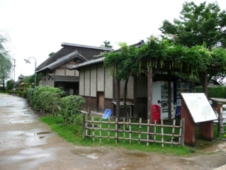 �u��������v�Ɣ[��