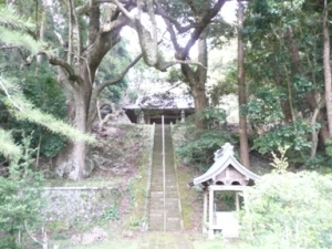 �����_��