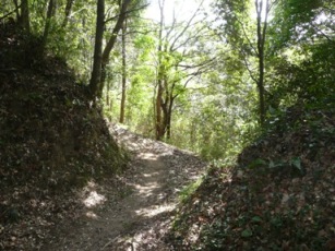 �Ռ��H�x�؁H