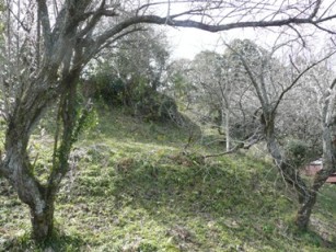 ���ȗւ��ȁH