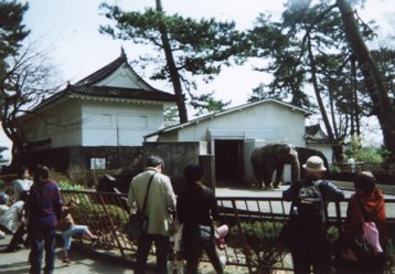 �~�j������