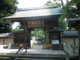 ��i���̖�