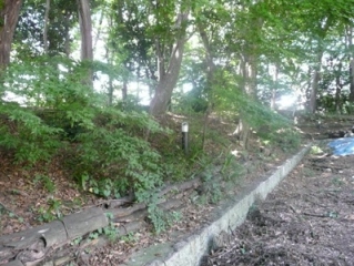 �����y��