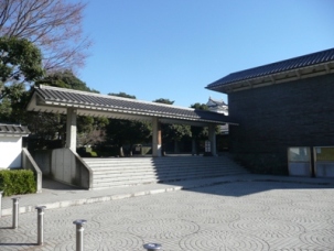 ���y������