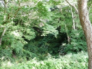 �{�ێ��ӂ̋�x