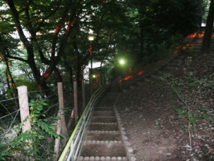 ������t��