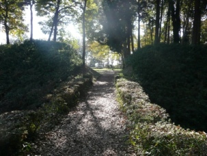 ��̋ȗց`�{�s�ւ̓y��