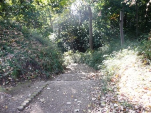 �{�s�`��ȗ�