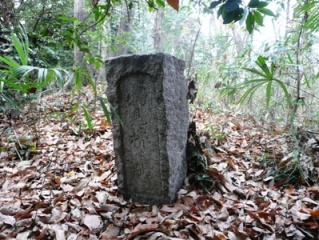 ���ߎ�t��