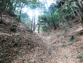 �{�ۓ쑤�̋�x