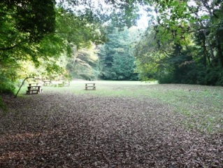 �{�ہ`���̊�