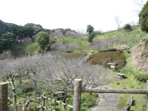 ����~�t��