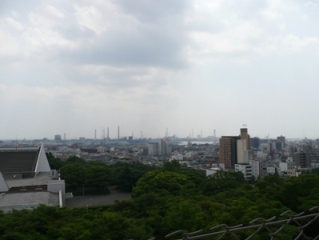 �鉺���]�i�[�����ʁj