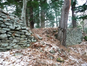 ��s���̐Ί_