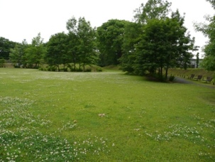 ��s�E�y��